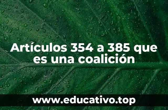 Artículos 354 a 385 que es una coalición