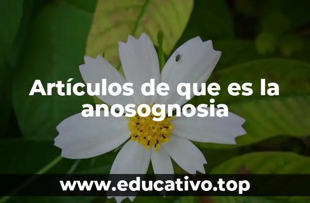 Artículos de que es la anosognosia