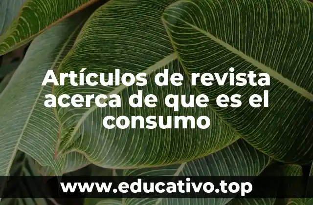 Artículos de revista acerca de que es el consumo