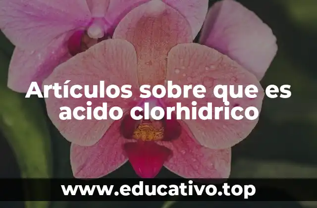 Artículos sobre que es acido clorhidrico