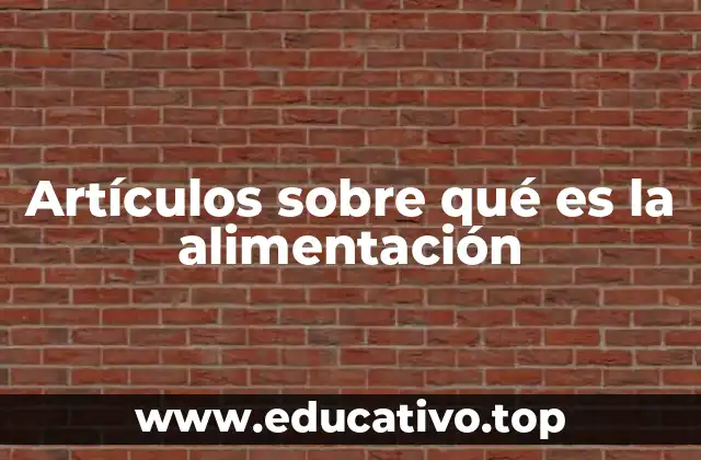 Artículos sobre qué es la alimentación