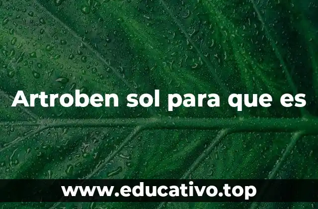 Artroben sol para que es