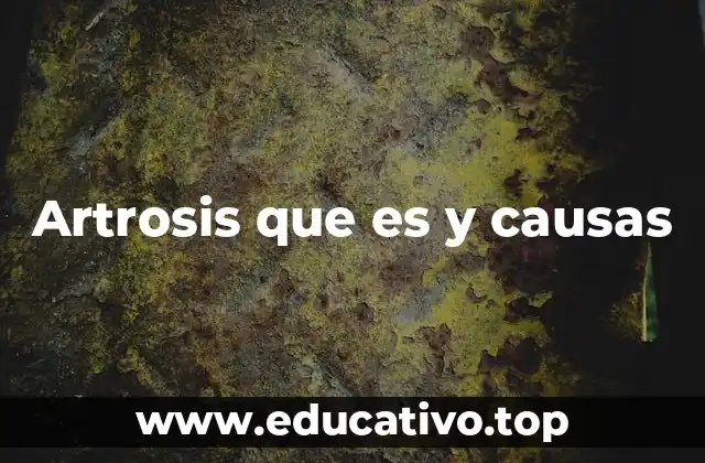 Artrosis que es y causas