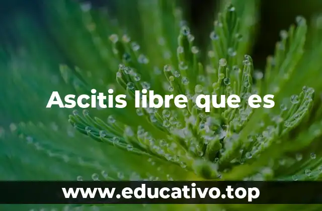 Ascitis libre que es