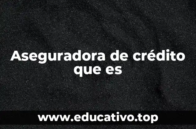 Aseguradora de crédito que es