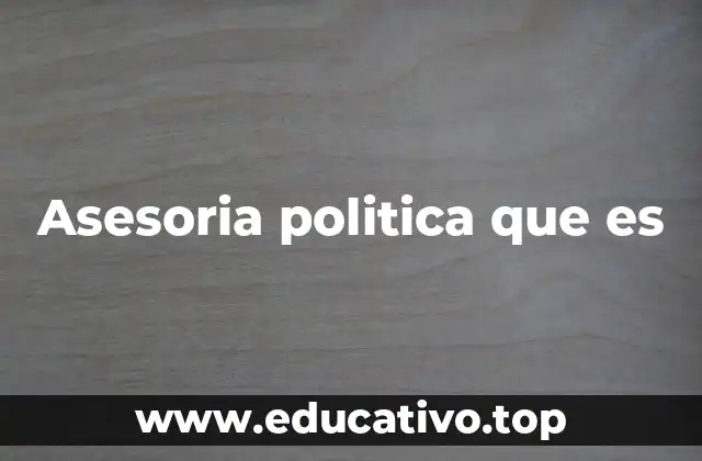 Asesoria politica que es