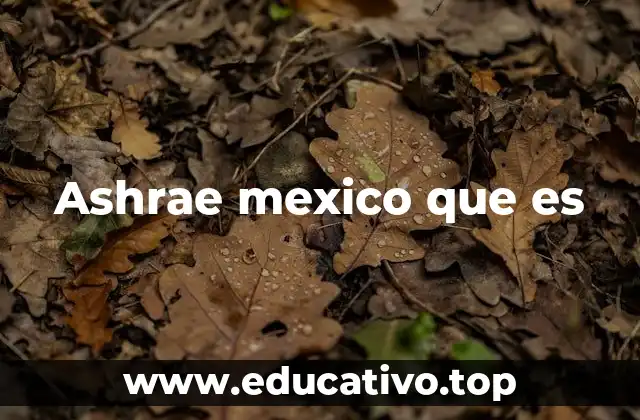 Ashrae mexico que es