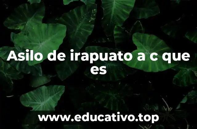 Asilo de irapuato a c que es