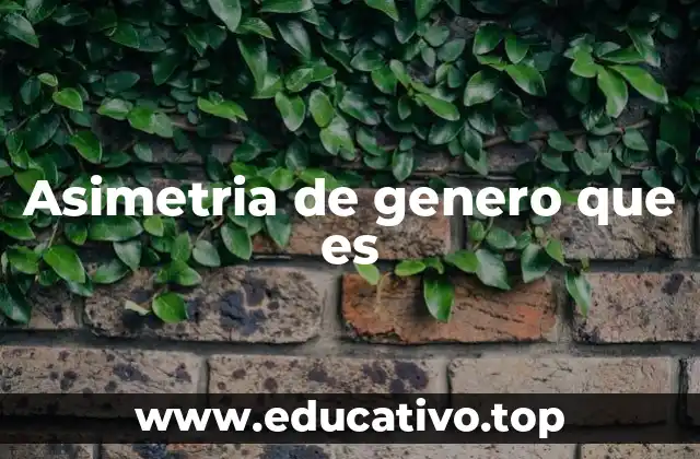 Asimetria de genero que es