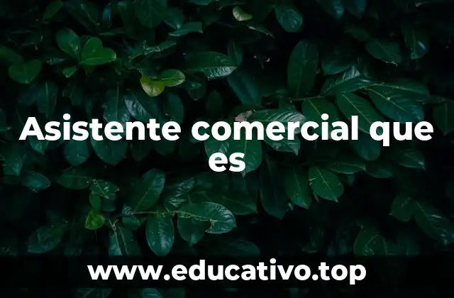 Asistente comercial que es