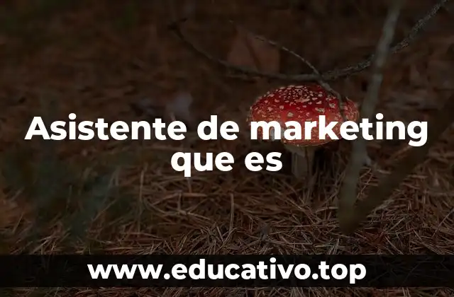 Asistente de marketing que es