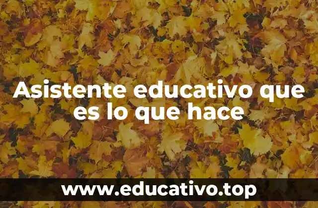 Asistente educativo que es lo que hace