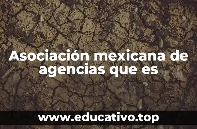 Asociación mexicana de agencias que es