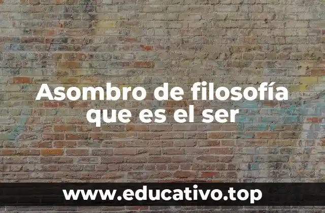 Asombro de filosofía que es el ser