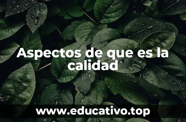 Aspectos de que es la calidad