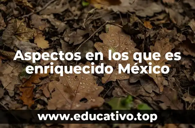 Aspectos en los que es enriquecido México