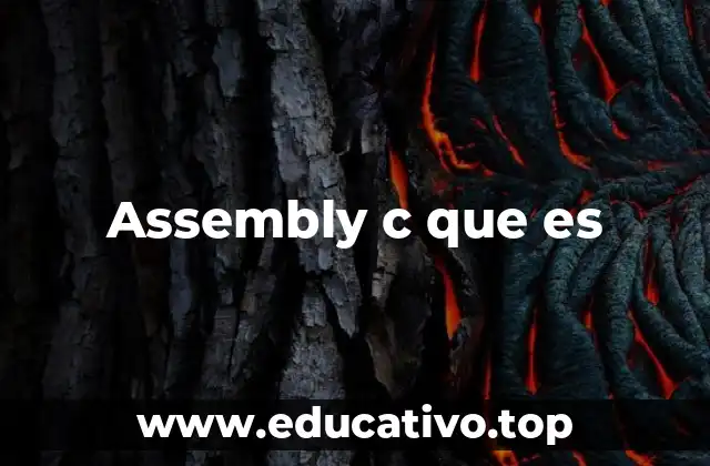 Assembly c que es