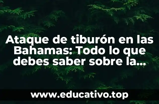 Ataque de tiburón en las Bahamas: Todo lo que debes saber sobre la seguridad en las aguas de este paraíso tropical