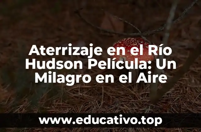 Aterrizaje en el Río Hudson Película: Un Milagro en el Aire