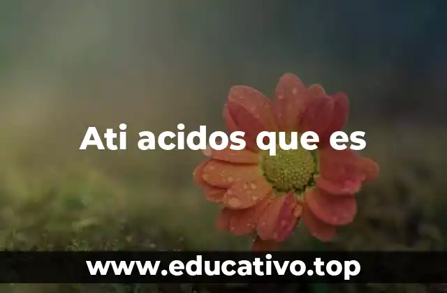 El papel de los ácidos grasos en el cuerpo humano