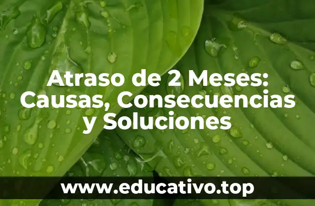 Atraso de 2 Meses: Causas, Consecuencias y Soluciones