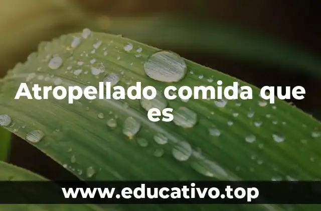 Atropellado comida que es