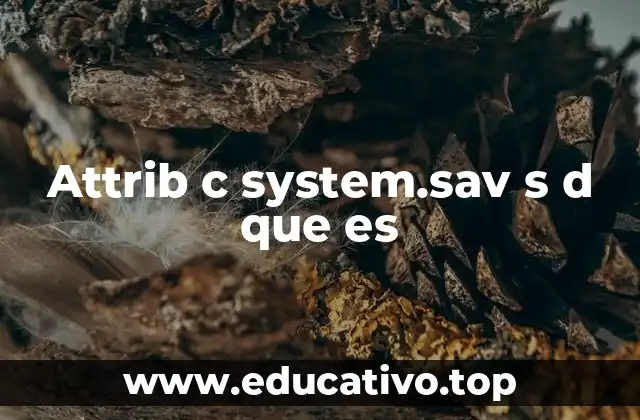 Attrib c system.sav s d que es