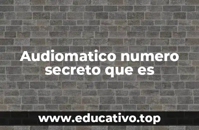Audiomatico numero secreto que es