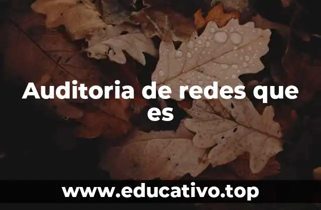 Auditoria de redes que es