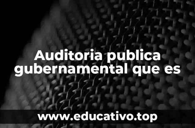 Auditoria publica gubernamental que es