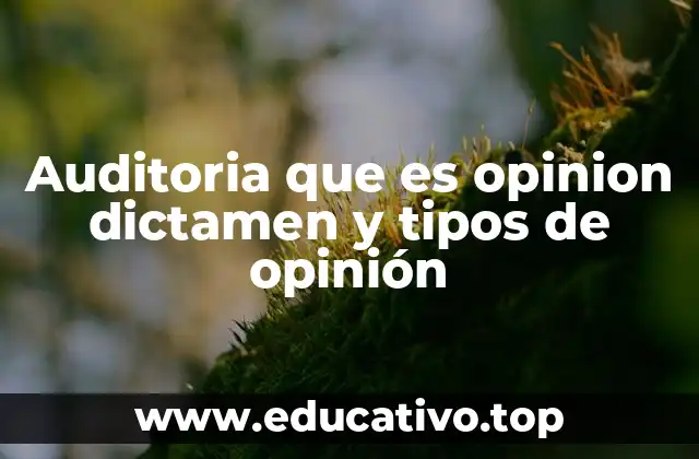 Auditoria que es opinion dictamen y tipos de opinión