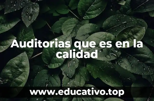 Auditorias que es en la calidad