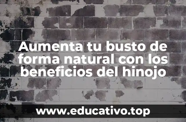 Aumenta tu busto de forma natural con los beneficios del hinojo