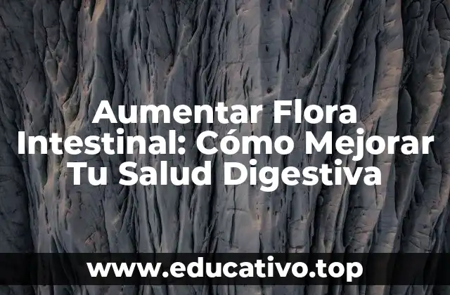 Aumentar Flora Intestinal: Cómo Mejorar Tu Salud Digestiva
