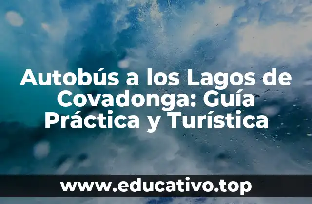 Autobús a los Lagos de Covadonga: Guía Práctica y Turística
