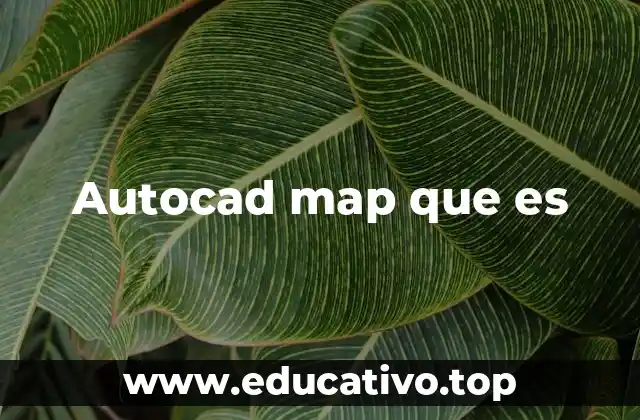 Autocad map que es