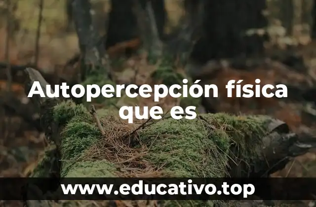 Autopercepción física que es
