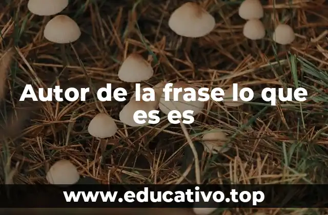 Autor de la frase lo que es es