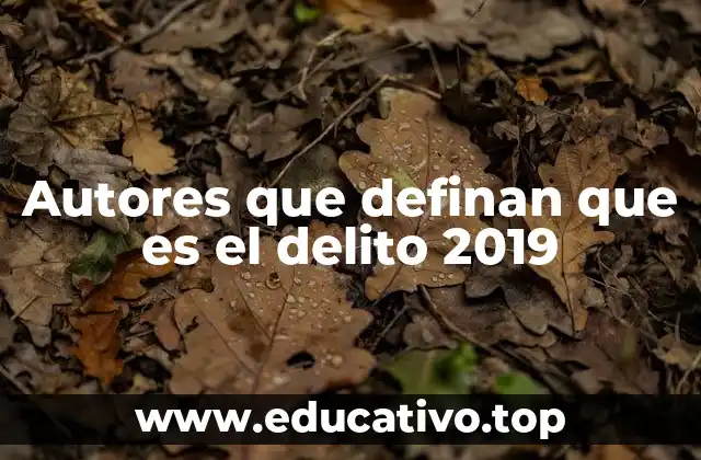 Autores que definan que es el delito 2019