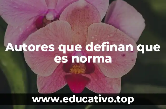 Las raíces filosóficas y sociales de la noción de norma