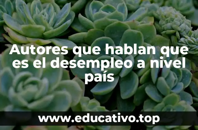 Autores que hablan que es el desempleo a nivel país
