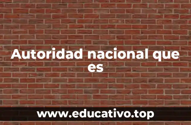 Autoridad nacional que es