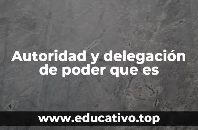 Autoridad y delegación de poder que es