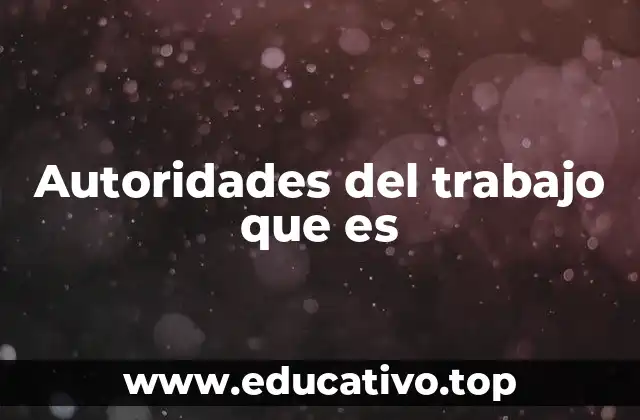Autoridades del trabajo que es