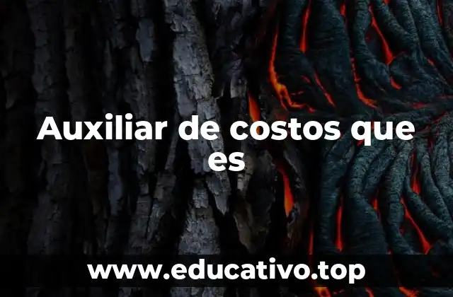 Auxiliar de costos que es