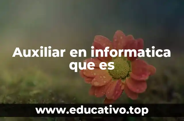 Auxiliar en informatica que es