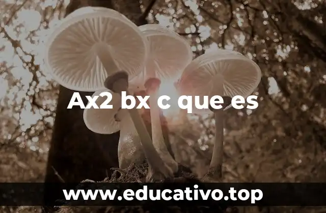 Ax2 bx c que es
