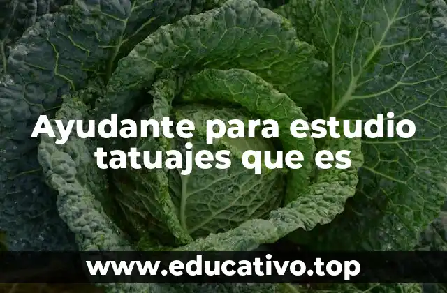 Ayudante para estudio tatuajes que es