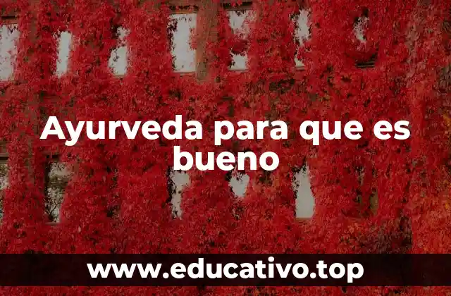 Ayurveda para que es bueno