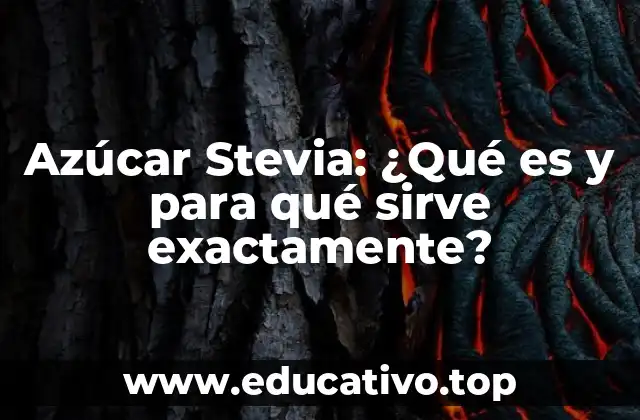 Azúcar Stevia: ¿Qué es y para qué sirve exactamente?